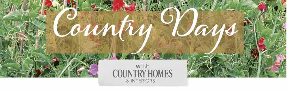 Comnuntry Homes and Interiors Header