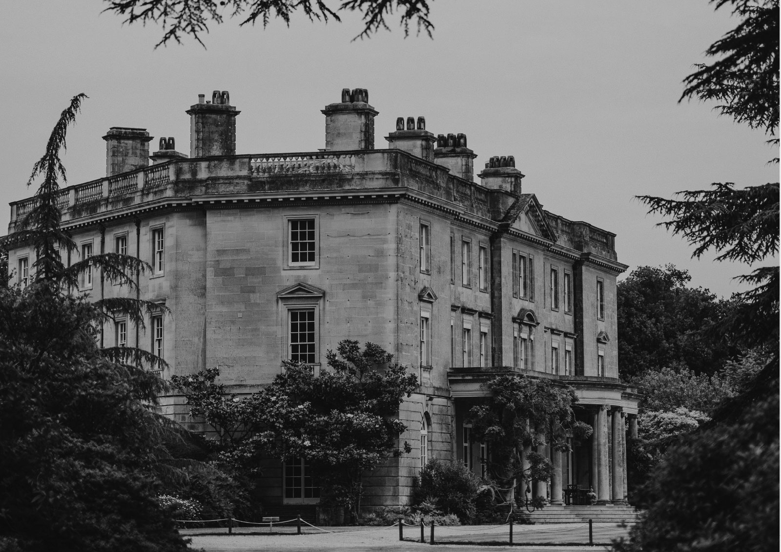 RileyandThomas-CreativeAgency-DesignStrategy-CosmeticInsure1