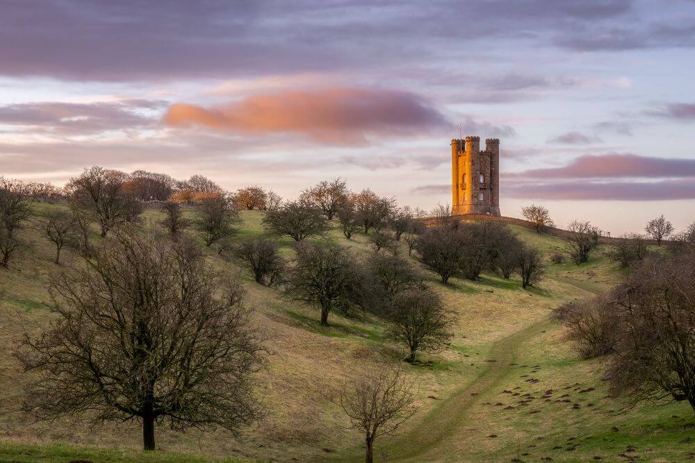 RileyandThomas-CreativeAgency-DesignStrategy-CosmeticInsure1